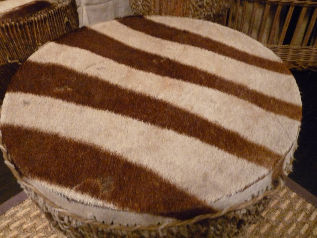 African Zebra Drum 1