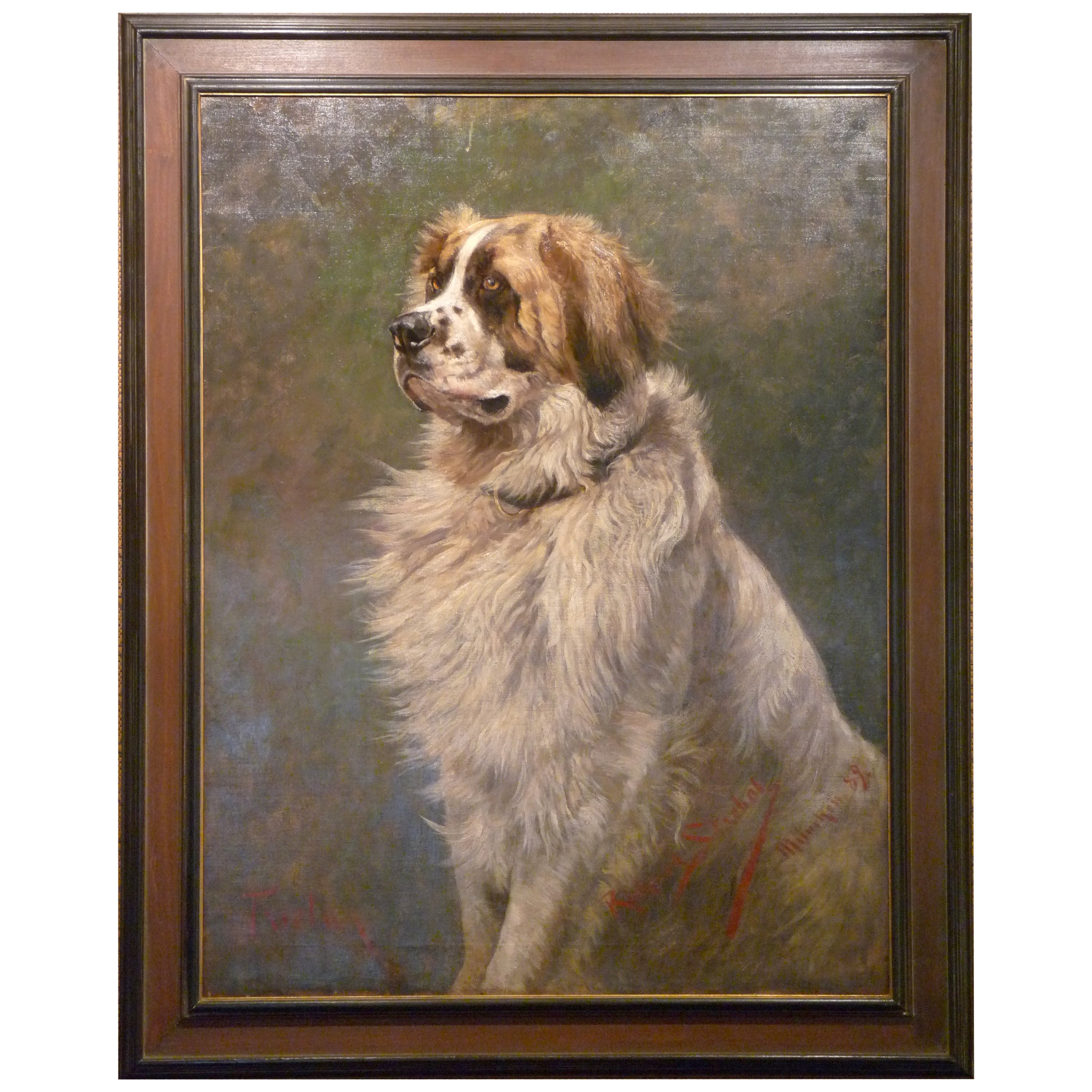 Portrait of Tristan, the Saint Bernard For Sale