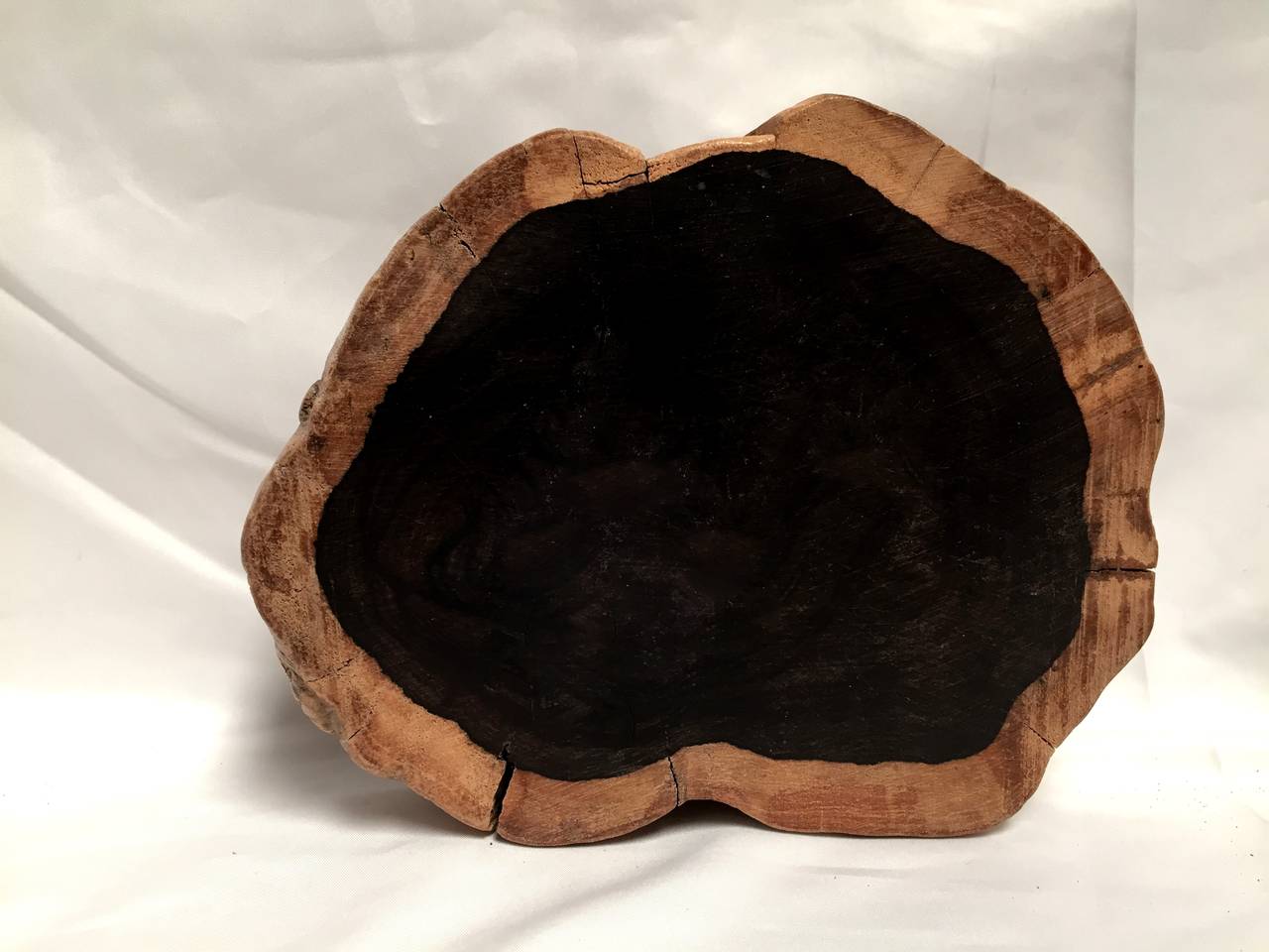 Our stunning ebony stands are natural cuts from the ebony tree. Their organic, free forming shapes are beautiful. With their unique appeal and quality, these substantial pieces are suitable for many interior styles such as modern, rustic, or