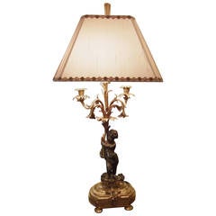 French Gilt and Patinated Bronze Table Lamp