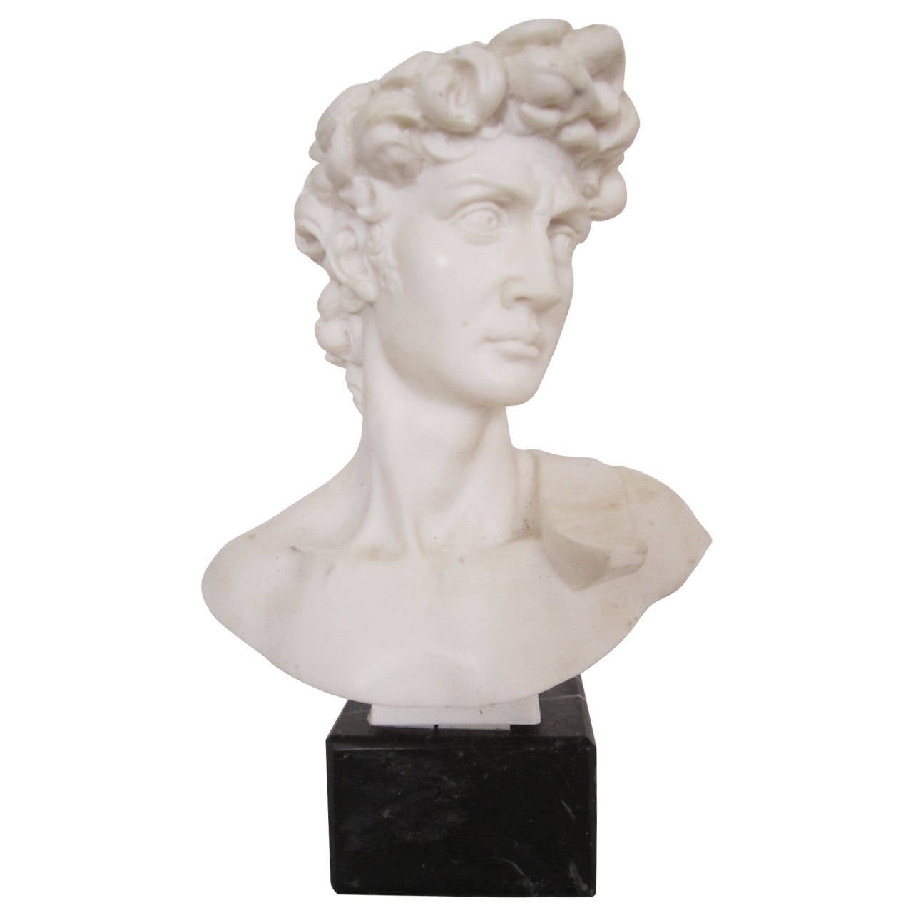 Classic Greek or Roman Bust on Black Marble Base at 1stDibs