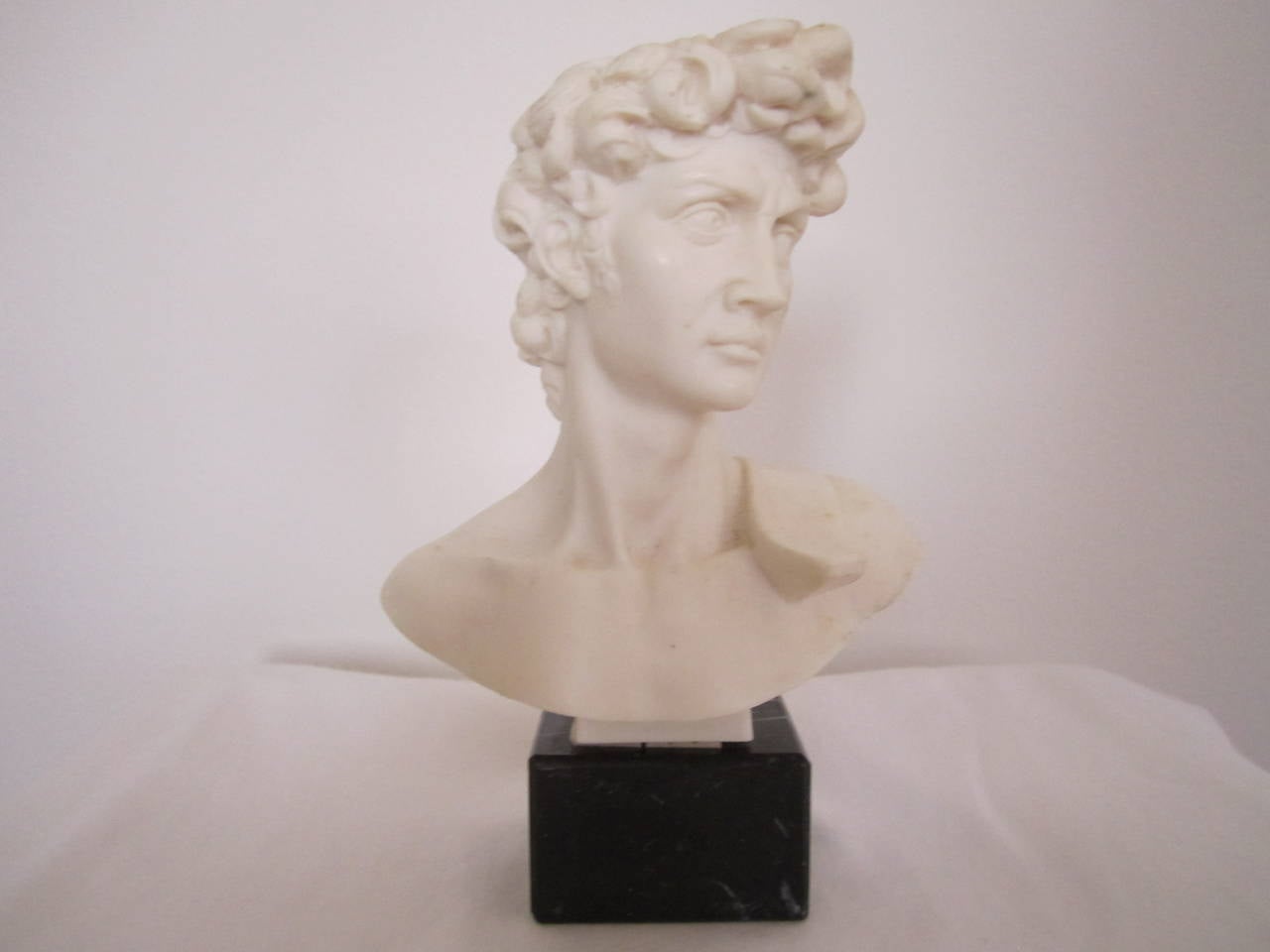 Classic Greek or Roman Bust on Black Marble Base at 1stDibs