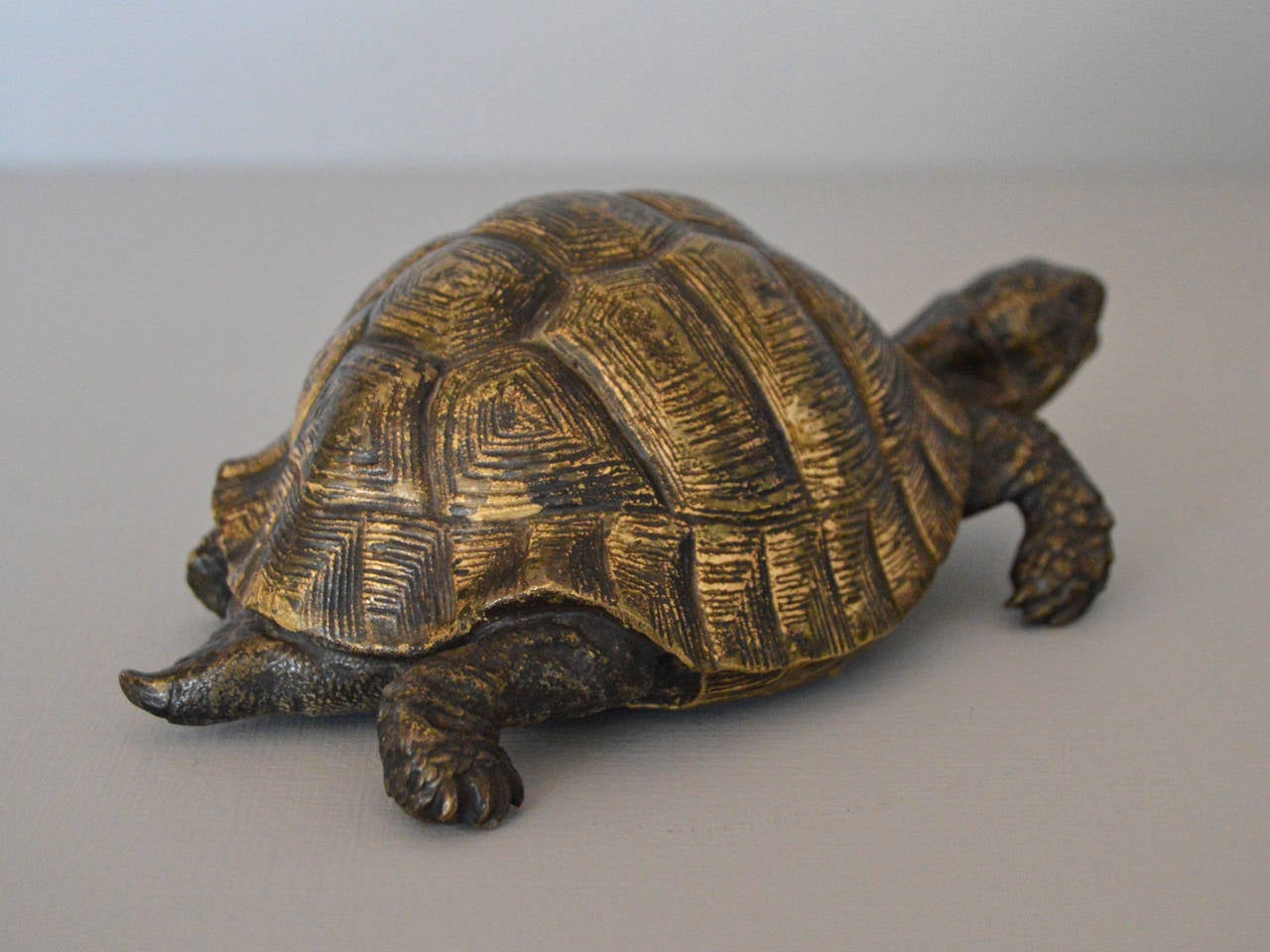 bergman bronze tortoise