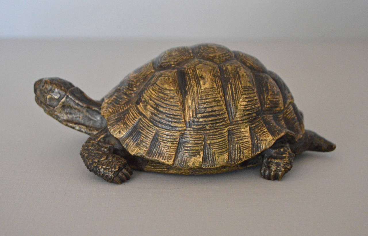 Cold-Painted Cold Painted Bronze Sculpture of a Tortoise by Bergman