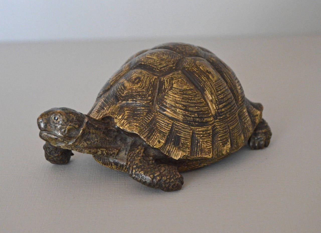 Cold Painted Bronze Sculpture of a Tortoise by Bergman In Excellent Condition In Moreton-In-Marsh, Gloucestershire