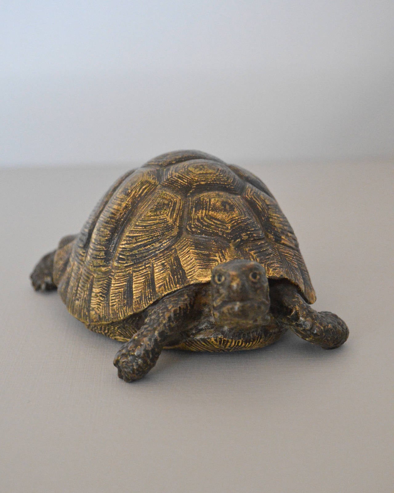 19th Century Cold Painted Bronze Sculpture of a Tortoise by Bergman
