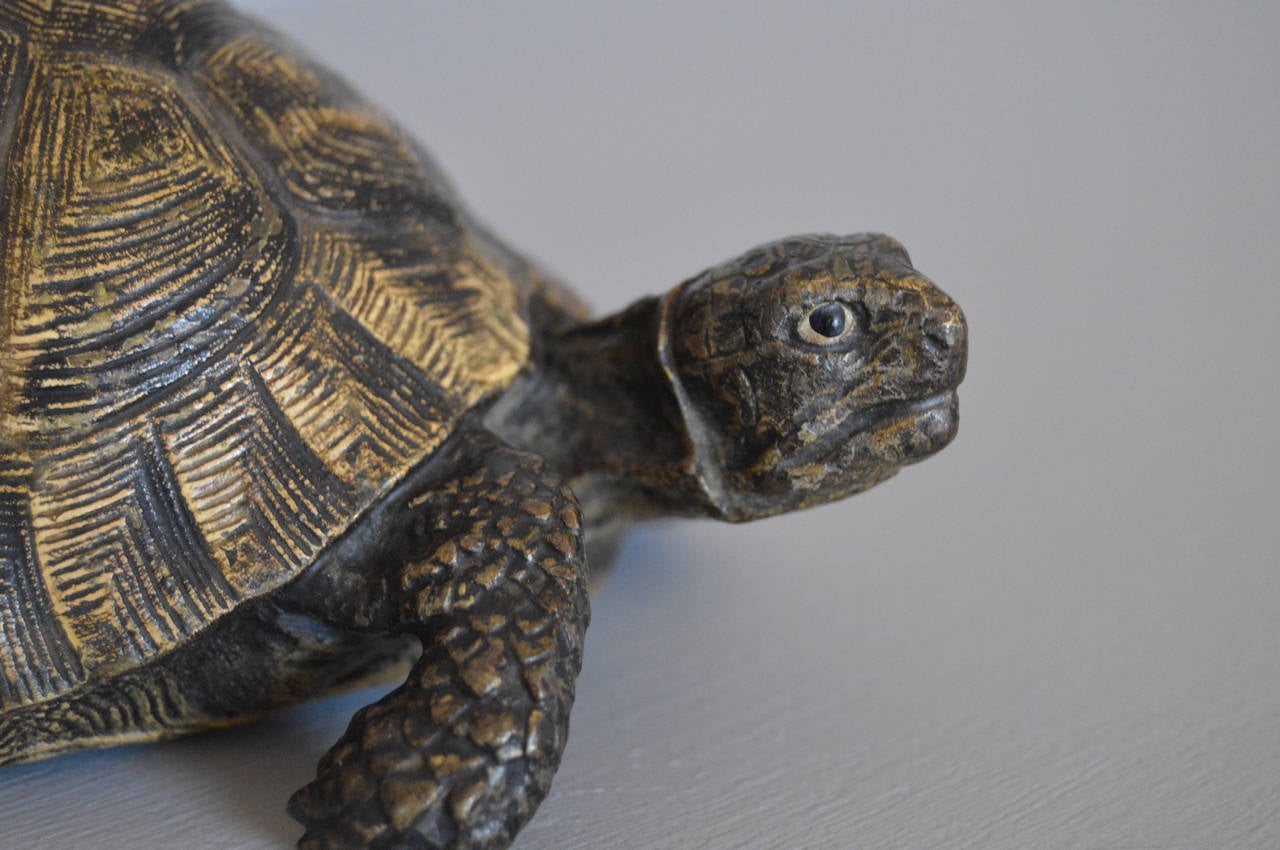 Cold Painted Bronze Sculpture of a Tortoise by Bergman 1