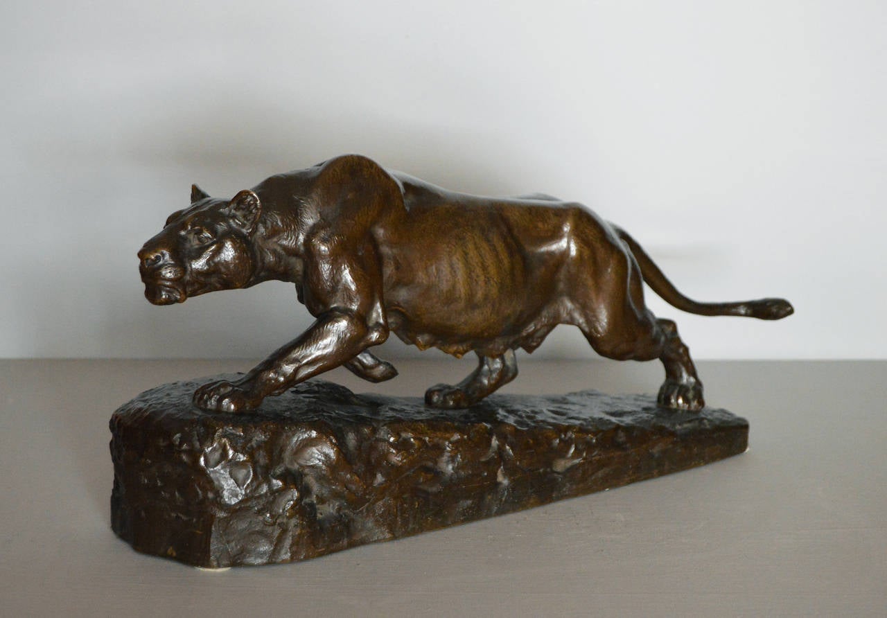 Isidore Jules Bonheur
French, (1827-1901)
Bronze, signed & stamped with the Peyrol foundry mark
Height: 8 inches
Width: 18½ inches

A stunning bronze sculpture of ‘La Lionne à l'affut’, ‘The Lioness in Wait’. The poised lioness is raised upon