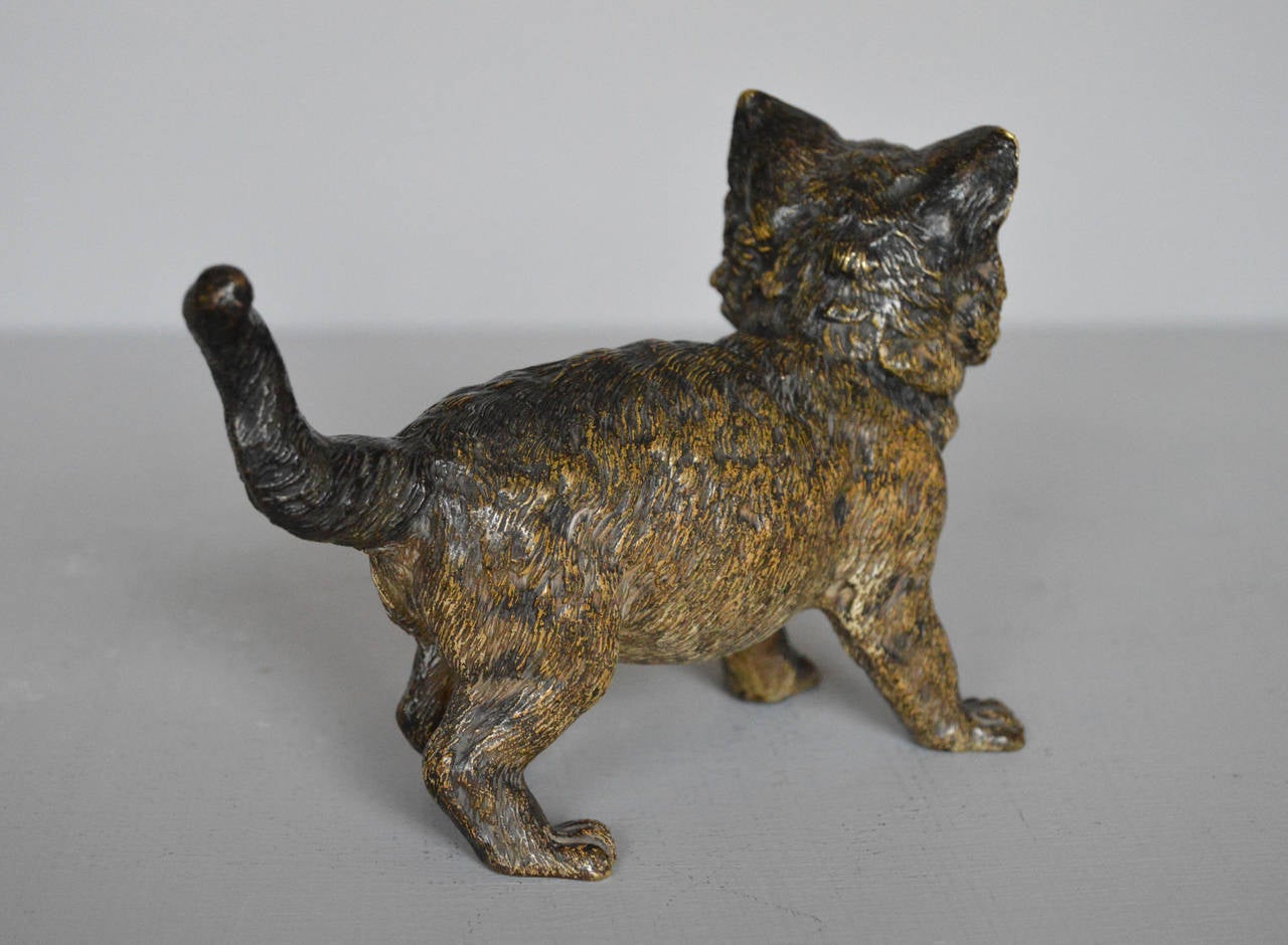 Large 19th Century Austrian Cold-Painted Bronze Sculpture of a Cat For Sale 1