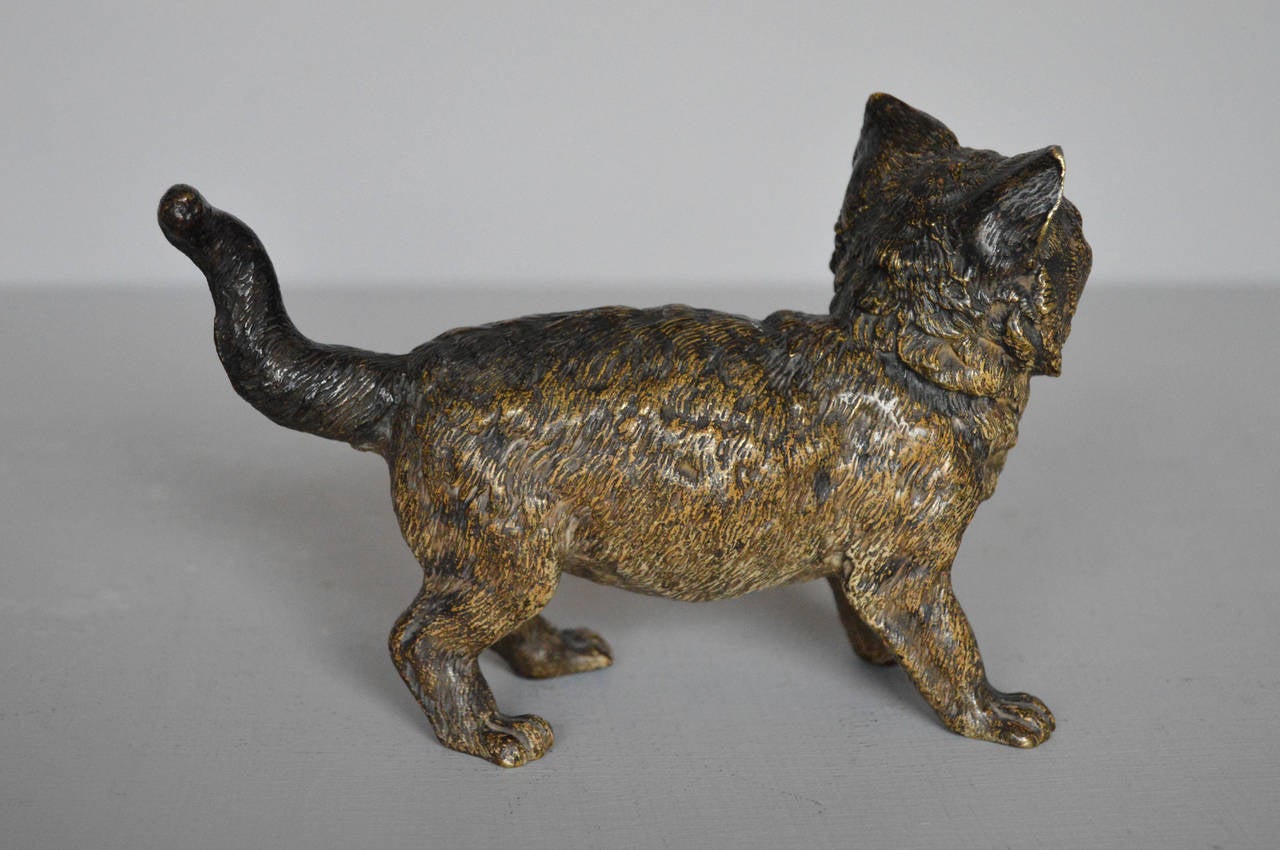 Large 19th Century Austrian Cold-Painted Bronze Sculpture of a Cat For Sale 2