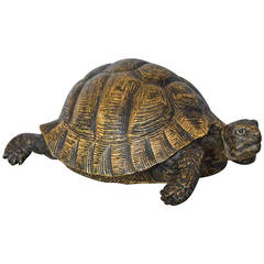 Cold Painted Bronze Sculpture of a Tortoise by Bergman