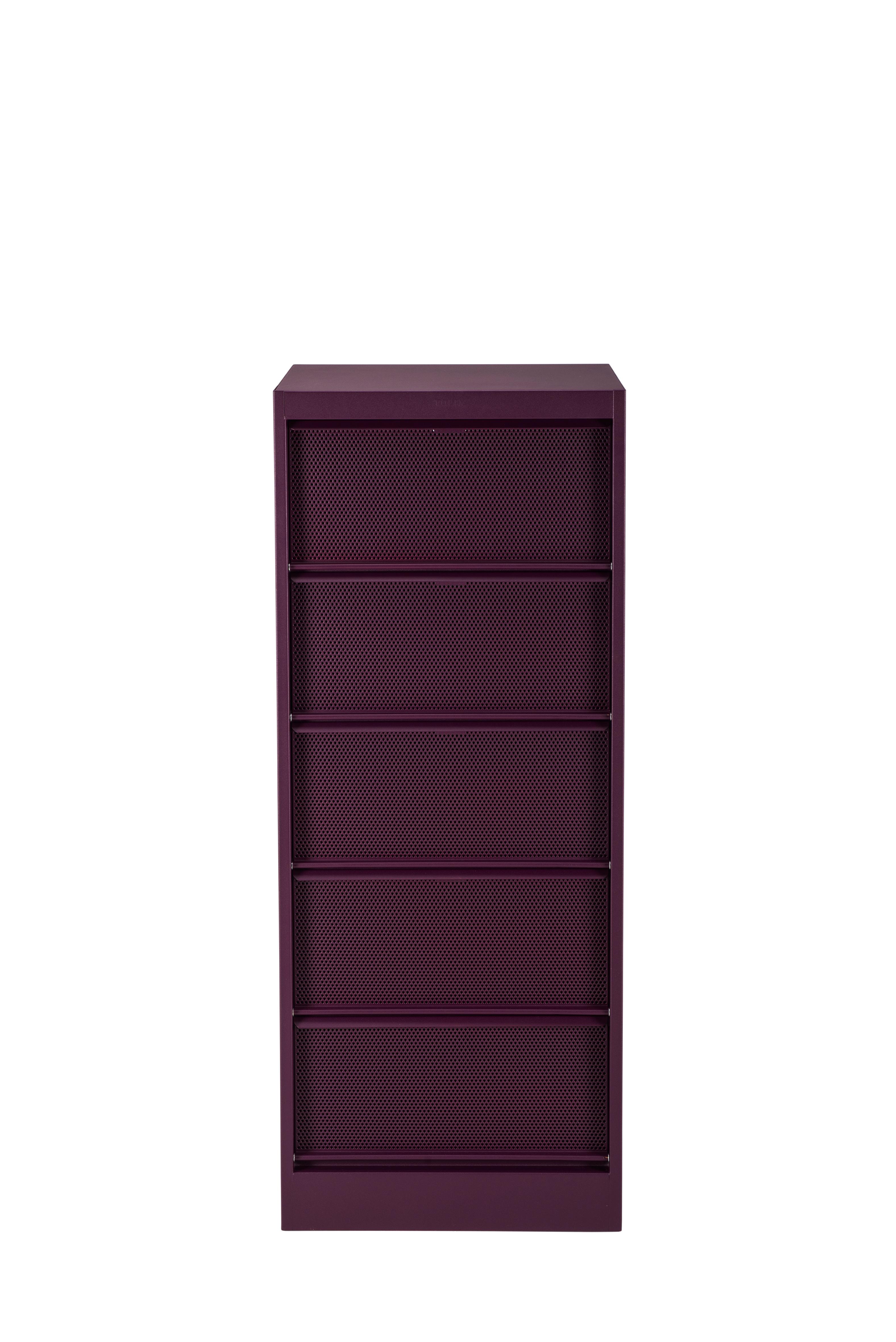 For Sale: Purple (Aubergine) CC5 Perforated Industrial Cabinet in Pop Colors by Xavier Pauchard & Tolix 2