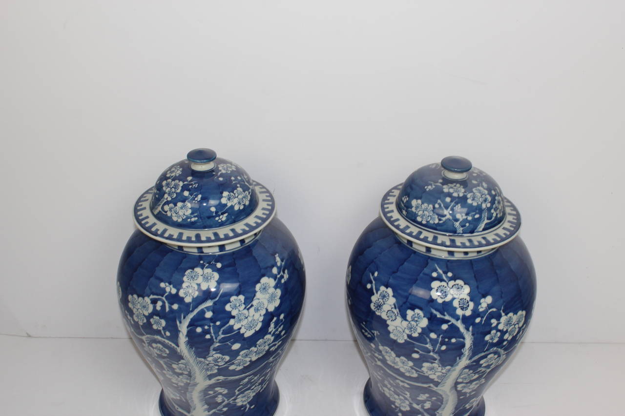 Pair of blue and white Chinese ginger jars hand painted in  prunus mume pattern.