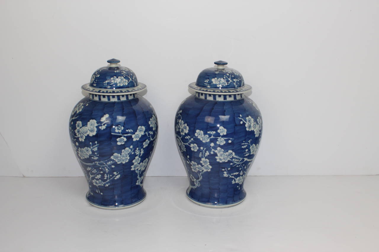 Chinese  Blue & White Ginger Jars
