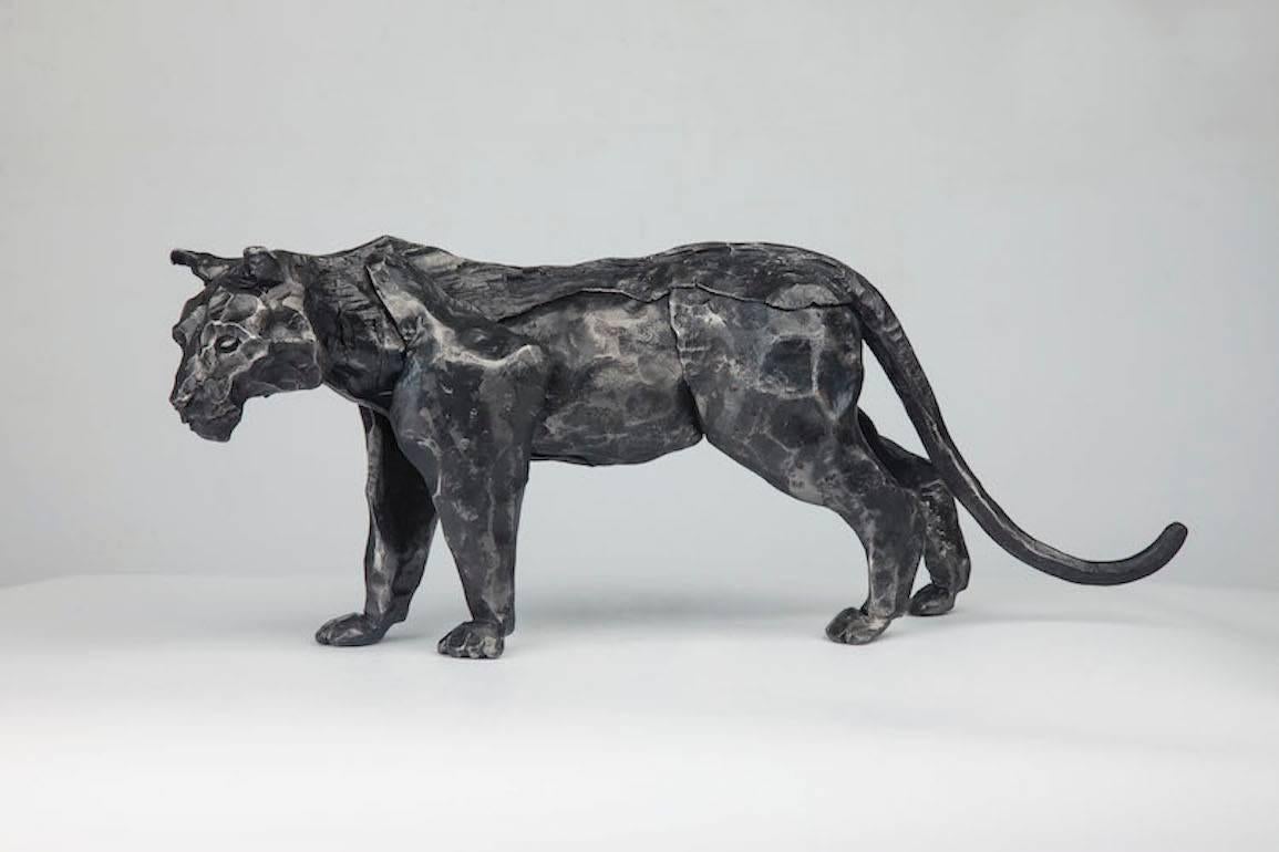 Tiger, realistic sculpture,  black iron unique piece artwork by Italian Zanoni