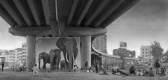 Underpass With Elephant - Black and White Photography by Nick Brandt