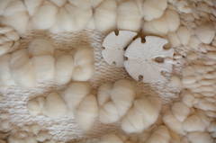 "Sea Dollar" Fiber Art Wall Hanging by Ruth Morrow