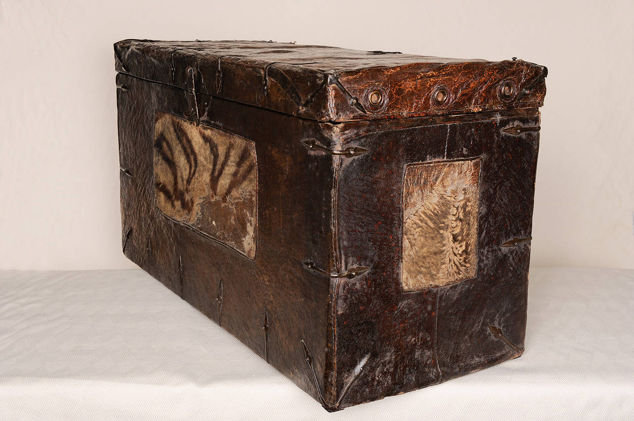 Other Old Tibetan Leather Trunk with Tiger Skin
