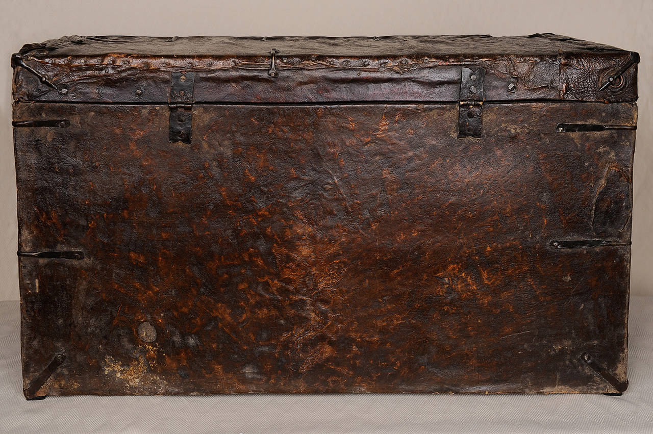 Old Tibetan Leather Trunk with Tiger Skin In Good Condition In Alessandria, Piemonte