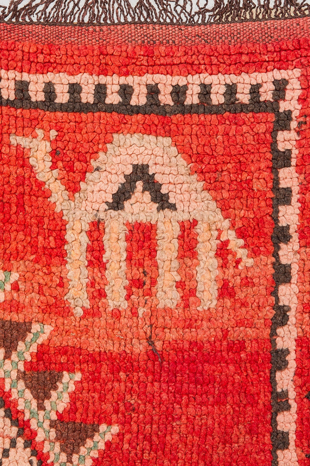 Tribal Vintage Moroccan Rug : Oulad Bou Sebaa or Rehamna -