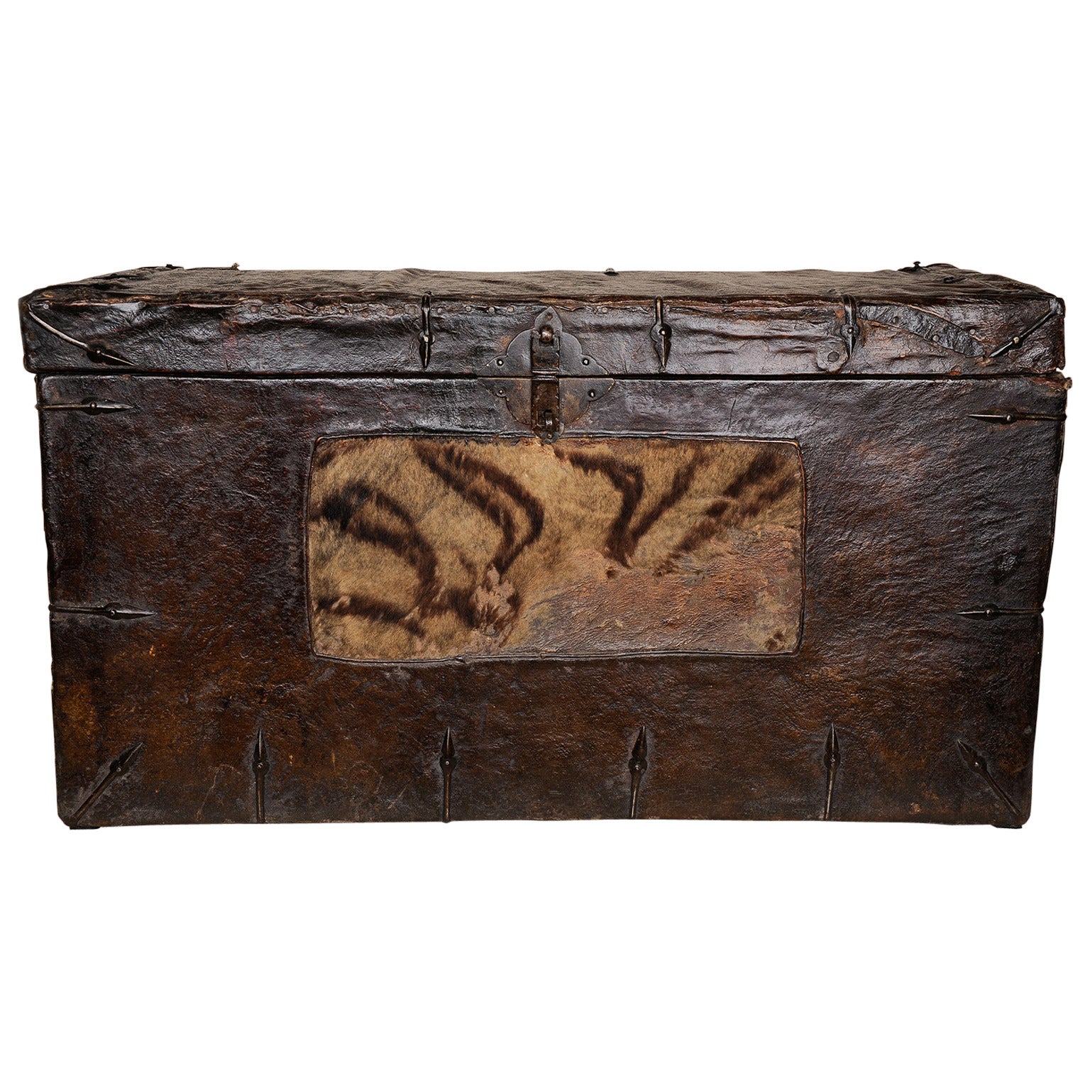 Old Tibetan Leather Trunk with Tiger Skin