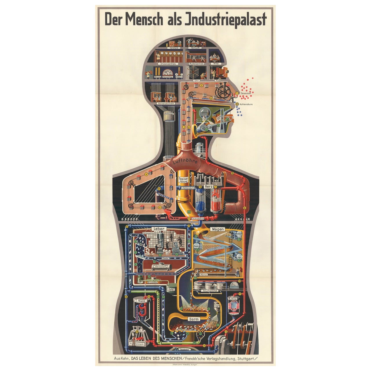 "Der Mensch als Industriepalast" Poster by Fritz Kahn, 1926 For Sale