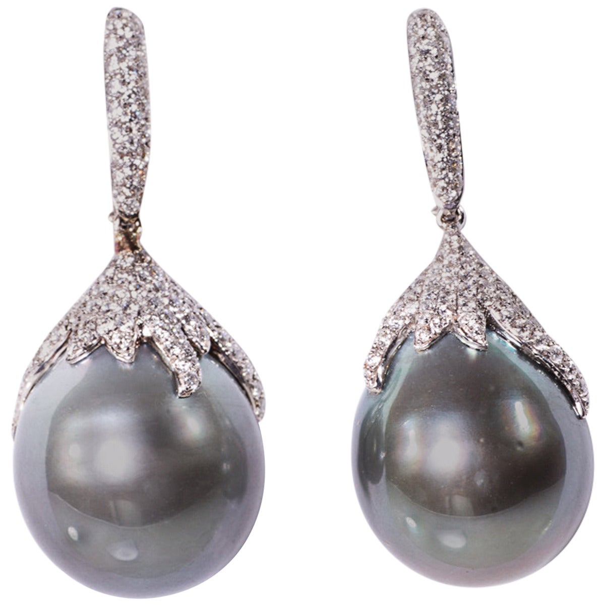 Magnificent Cultured Black South Sea Pearl and Diamond Earrings