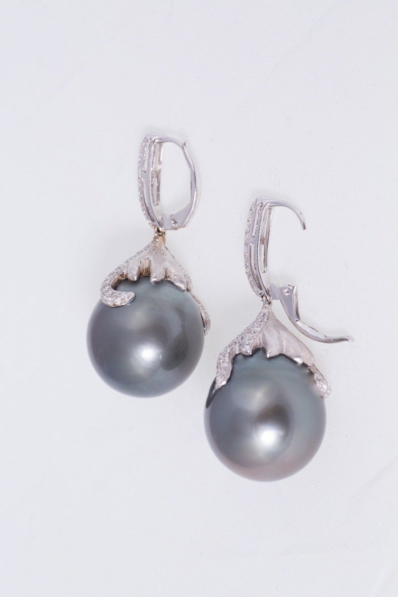 Contemporary Magnificent Cultured Black South Sea Pearl and Diamond Earrings