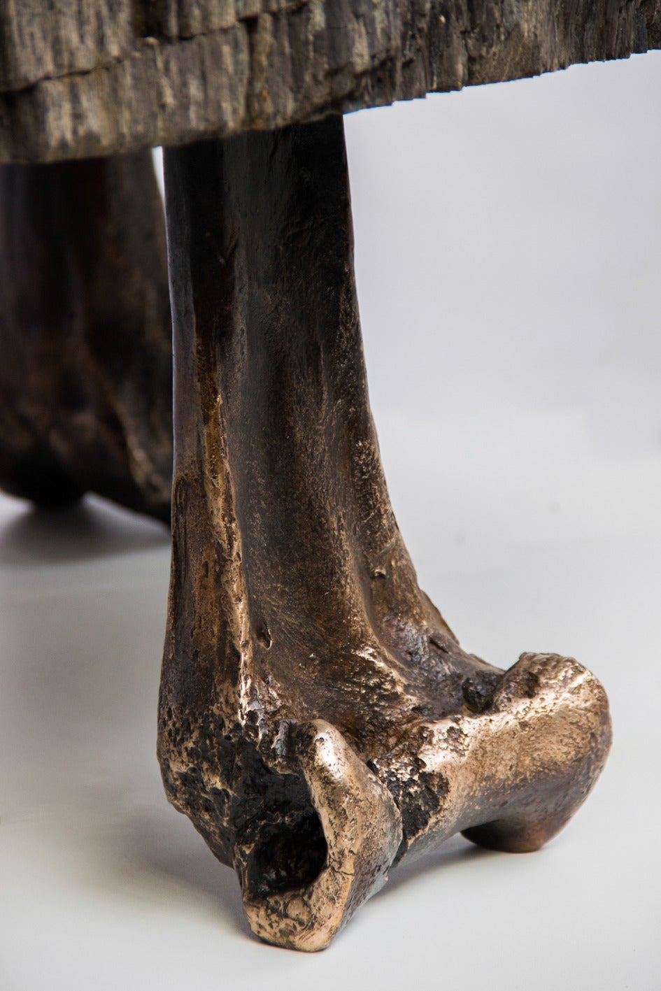 The material of the tabletop is petrified wood coming from Indonesia. The legs are made of bronze and are a part of the leg (replica) of the prehistoric elephant bird that ever lived on the island of Madagascar. 

Dutch artist Raymond Spier cast