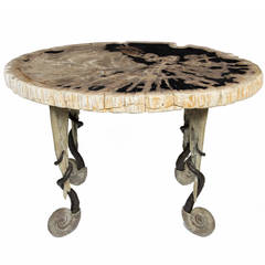 Ammonite Table