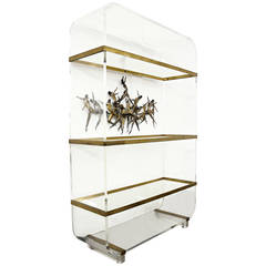 Massive Charles Hollis Jones Lucite & Brass Waterfall Collection Shelving Unit