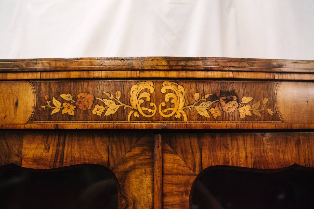19th Century Irish Walnut Bookcase or Display Cabinet In Good Condition In Nashville, TN