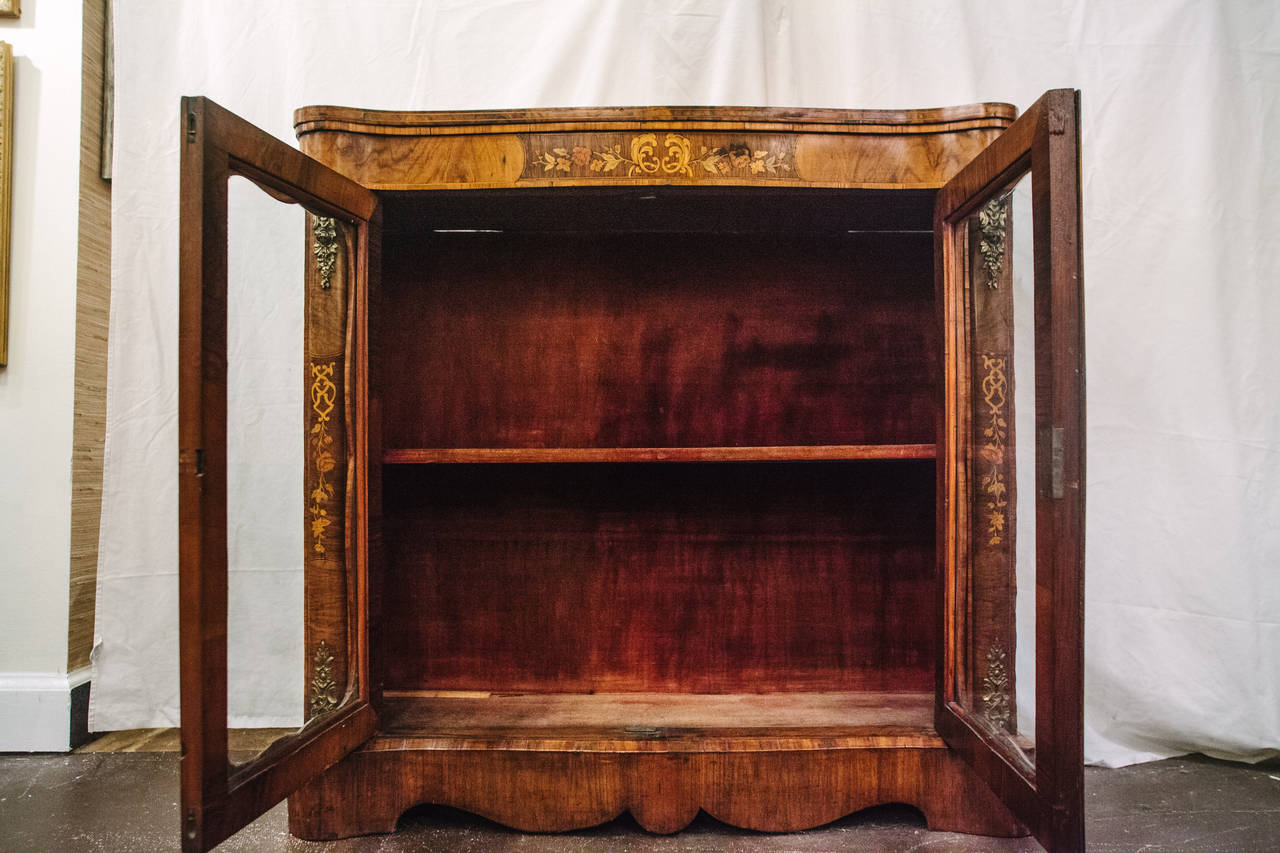19th Century Irish Walnut Bookcase or Display Cabinet 3