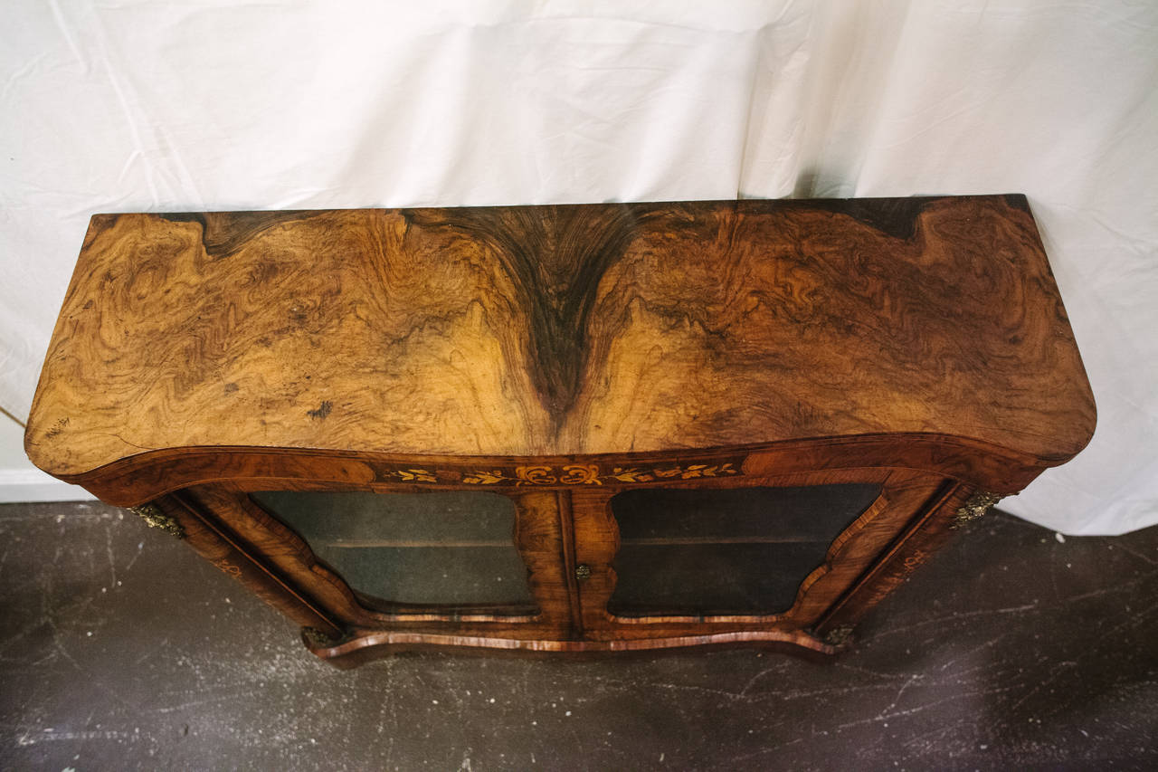 19th Century Irish Walnut Bookcase or Display Cabinet 4