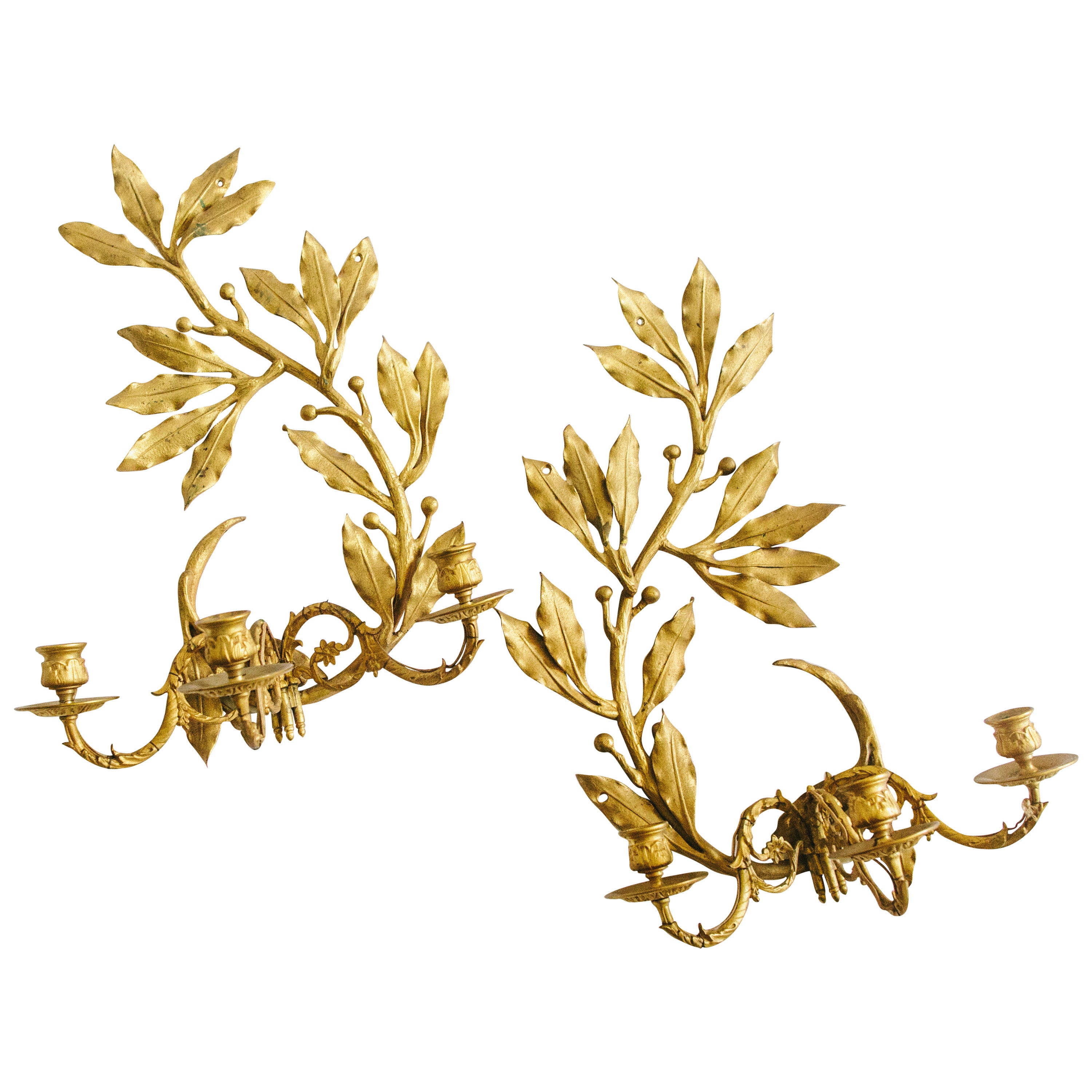 Pair of 20th Century French Gilt Bronze Leafy Candle Sconces