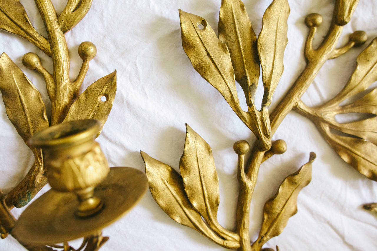 Pair of 20th Century French Gilt Bronze Leafy Candle Sconces In Excellent Condition In Nashville, TN