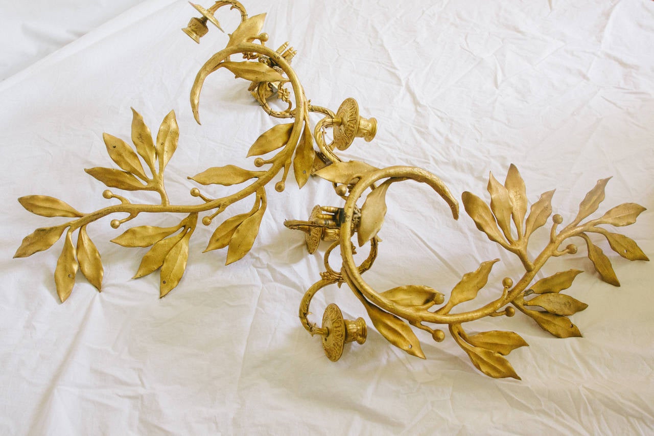 Pair of 20th Century French Gilt Bronze Leafy Candle Sconces 3