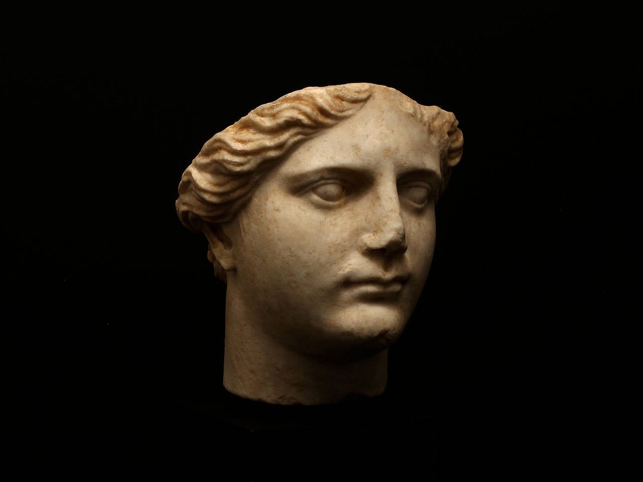 marble head of athena