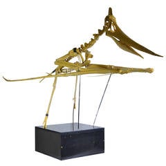 Model Museum Piece Pterodactyl Dinosaur