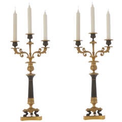 Pair of Bronze and Ormolu Candlesticks 1