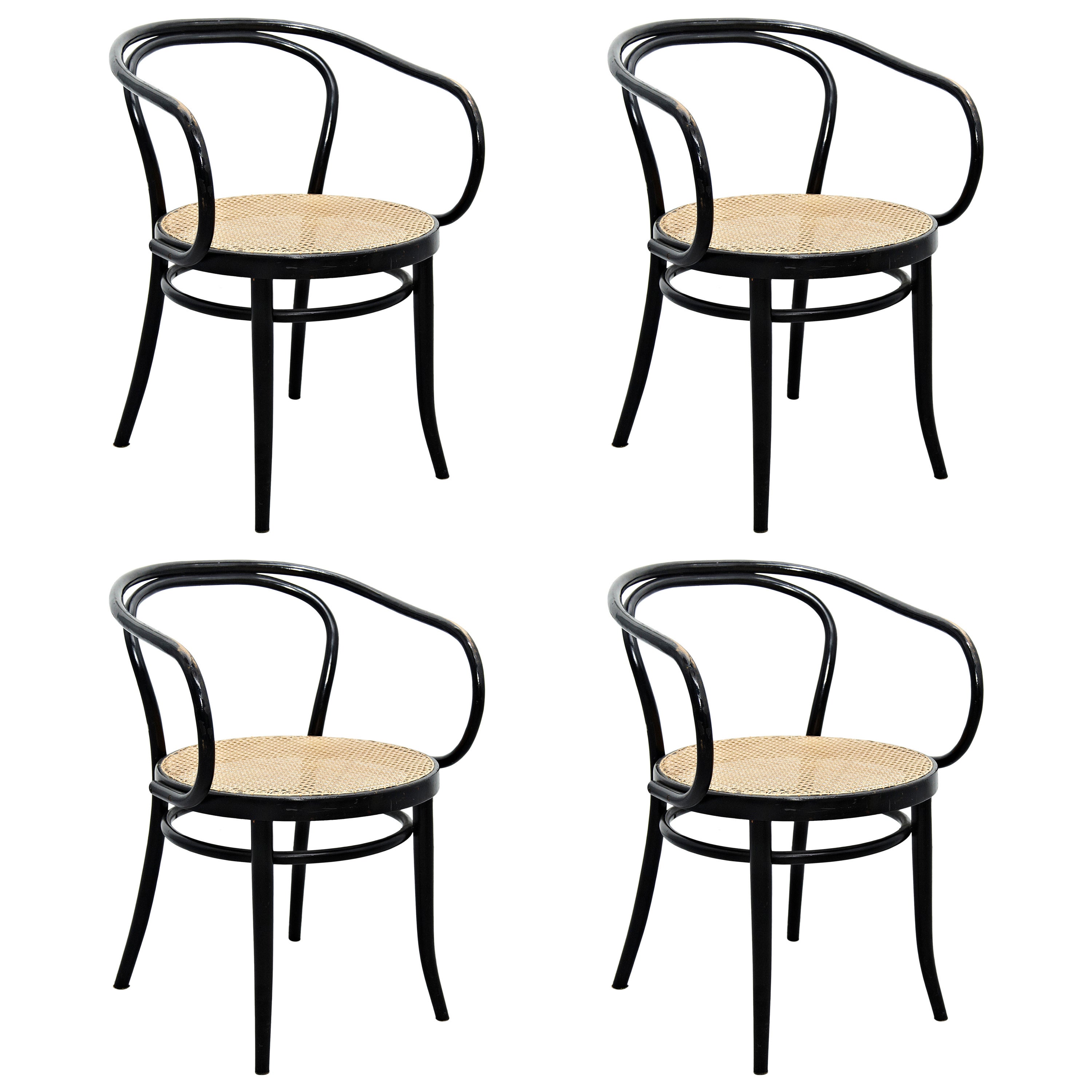 Set of Four Thonet 209 Armchair by Auguste Thonet for Thonet, circa 1900