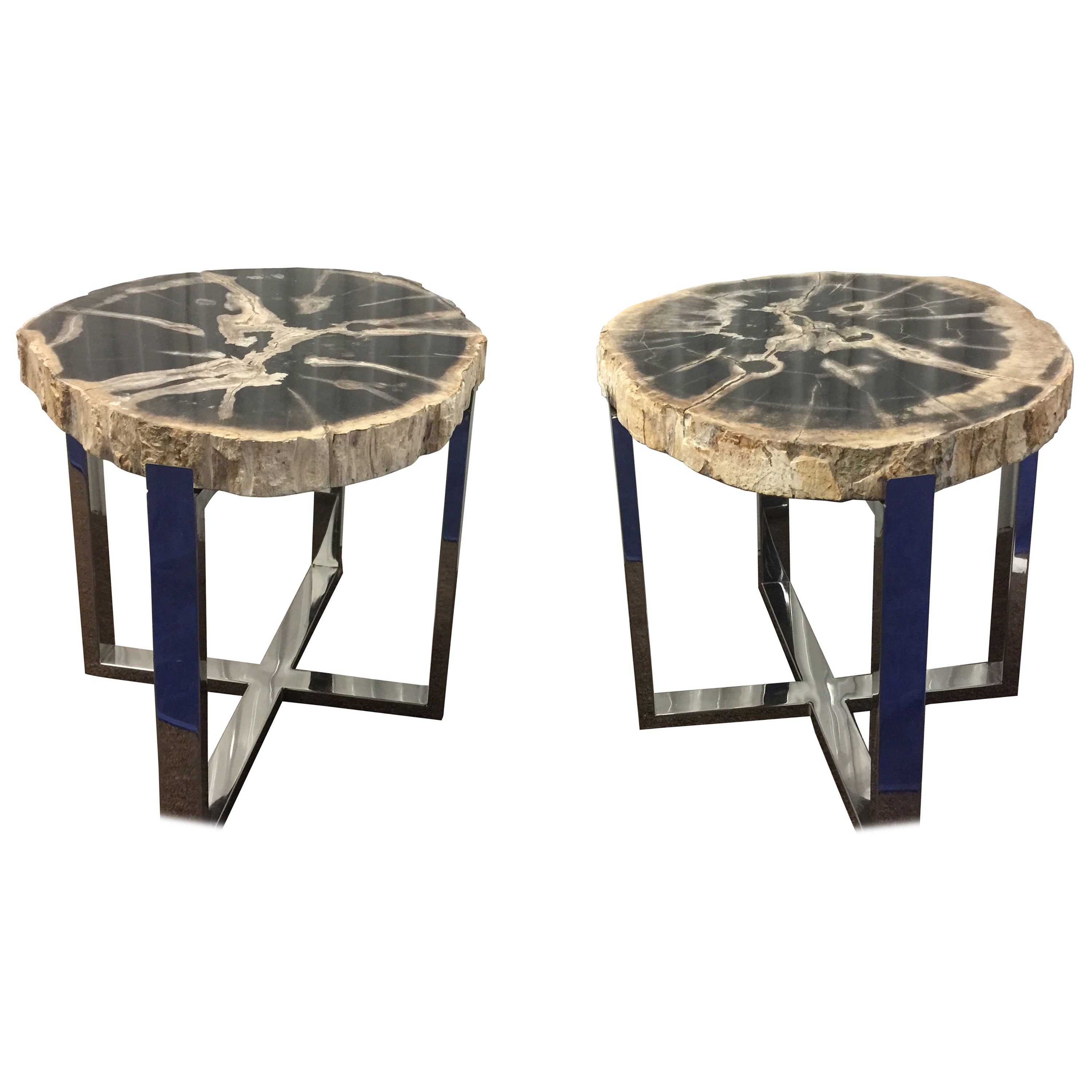 Organic Modern Style Pair of Petrified Wood and Chrome End or Side Tables