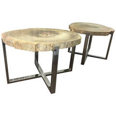 Organic Modern Style Pair of Petrified Wood Salmon Colored X-Base Tables