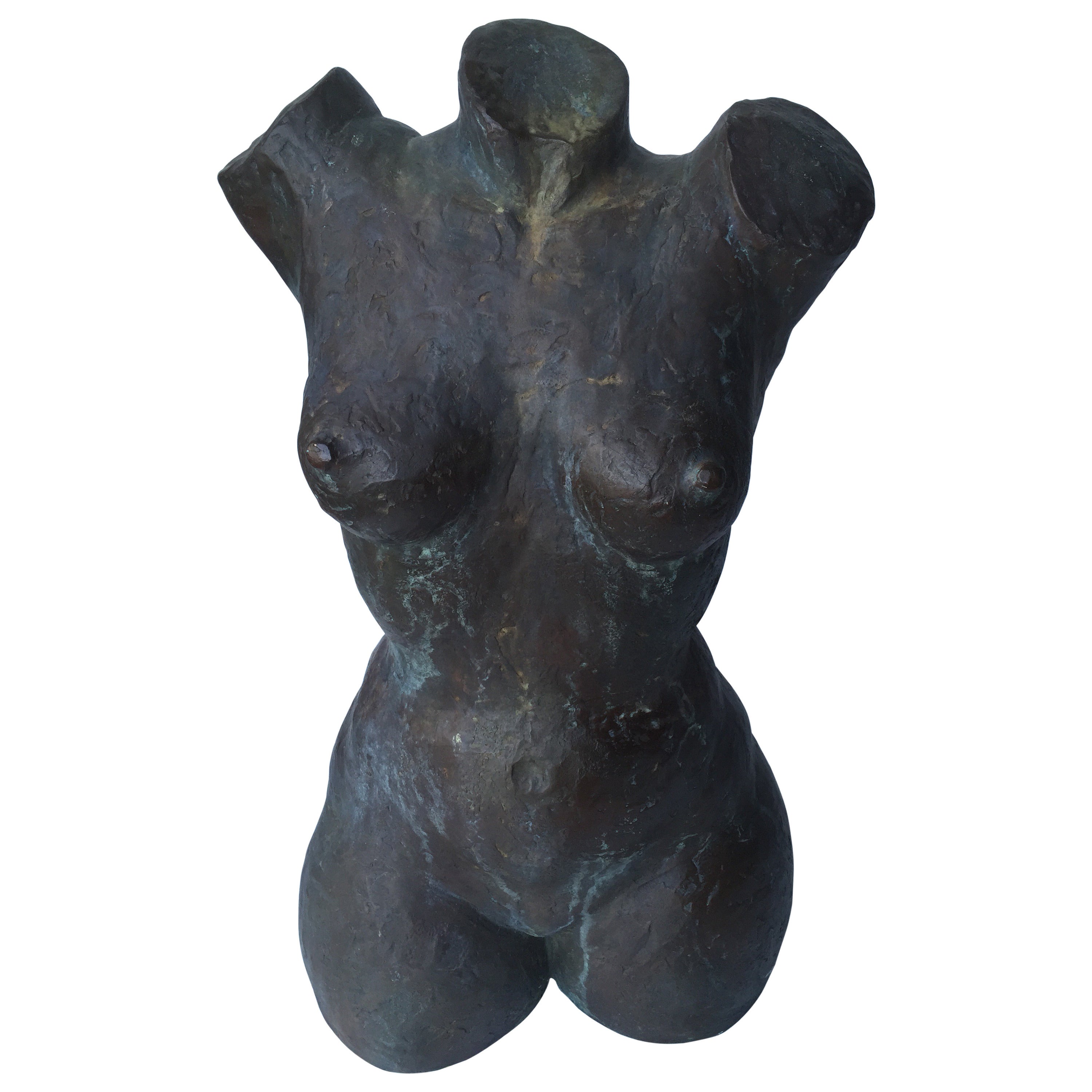 Aristide Maillol Nude Bronze Torso For Sale
