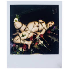 Signed Polaroid by Nobuyoshi Araki, Nude Bondage with Flowers and Lizard, 1990s 5