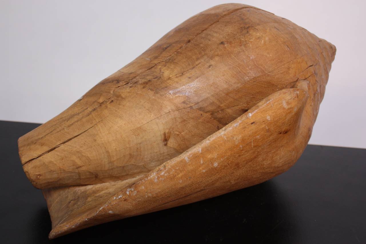 1960s Hand-Carved Wooden Conch 3