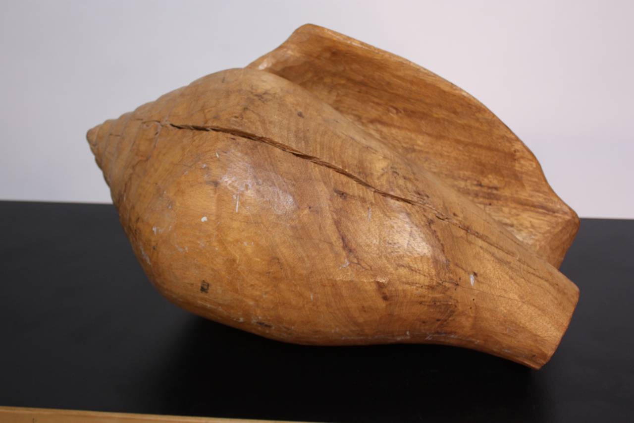 1960s Hand-Carved Wooden Conch 4