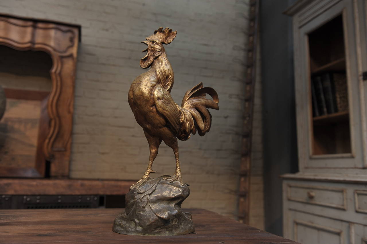 19th Century French Rooster Bronze Statue, Signed Comolera In Excellent Condition In Roubaix, FR