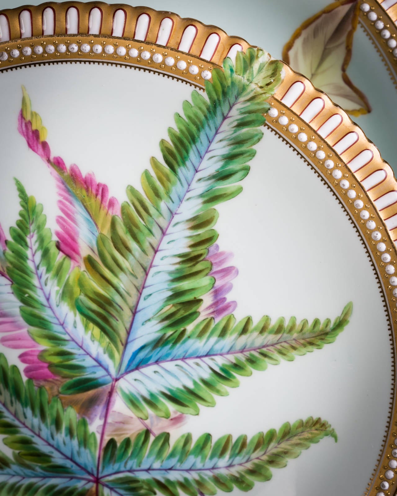 Set of 12 English porcelain botanical plates. Impressed Worcester with crown.
