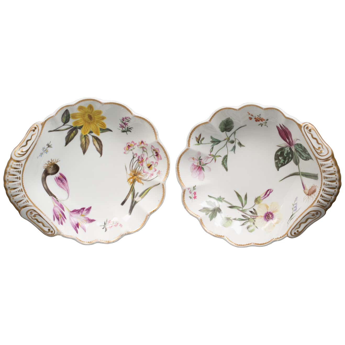 Pair of English Spode Porcelain Botanical Shell-Shape Dishes, circa ...